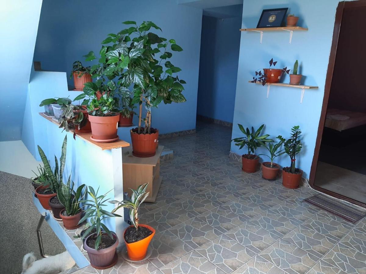 Casa Ana Guest house *